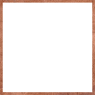 logo poznański dom pogrzebowy